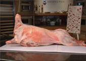 lamb4