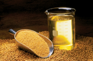 The Benefits of Soybean Oil