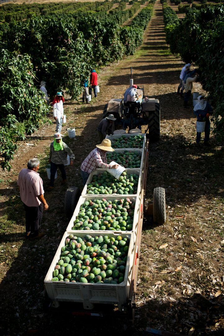 mtg farm photo 2 web