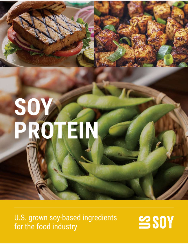 Soy Protein Picture