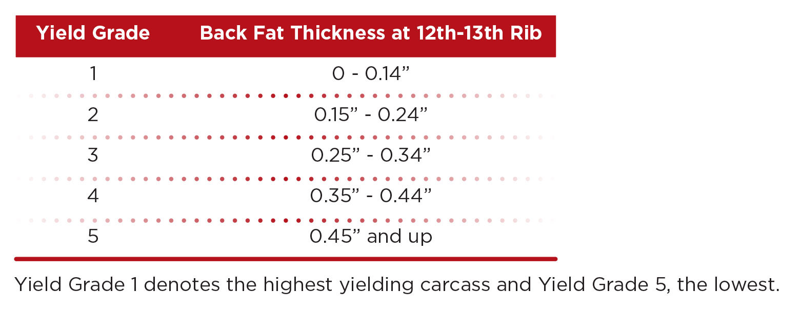 Yield Chart