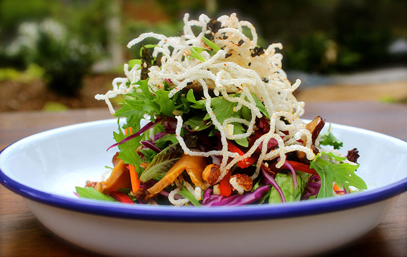 ediBOL Ginger Sesame Bowl web