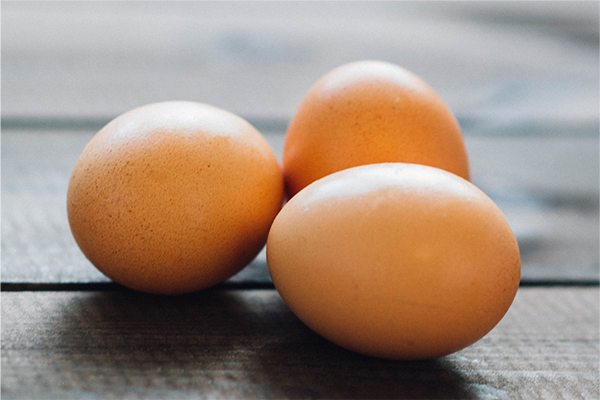 egg 1