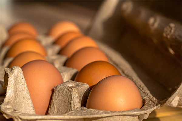egg 4