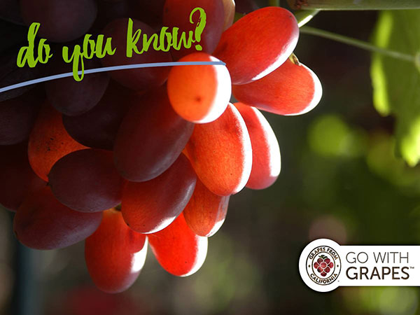 grapes photo web