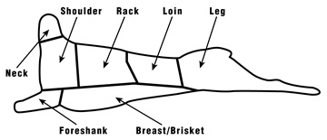 lesson2_nov10