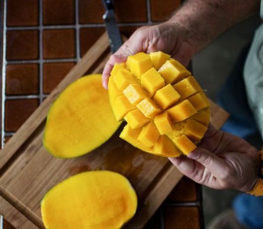 MTG mango web