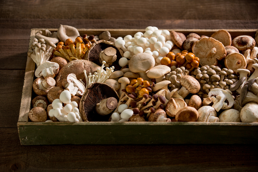 mushrooms