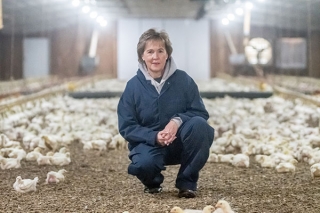 A Female Farmer with a Long Farming Heritage Looks Toward   the Poultry Farming Future