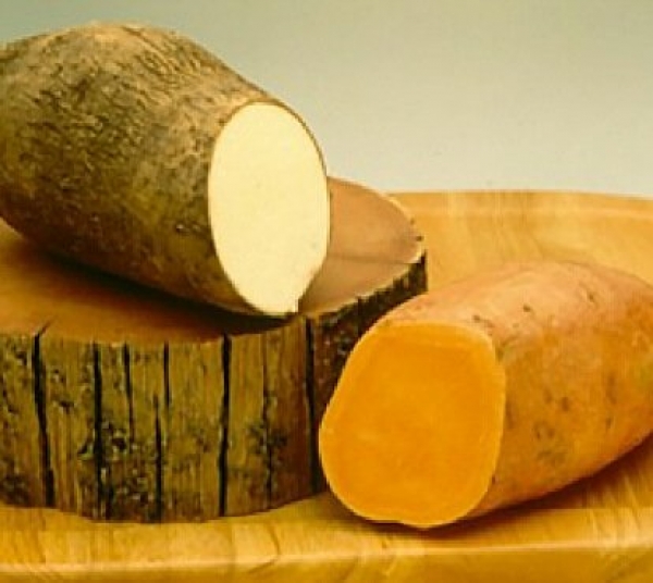 What's the Difference Between a Sweet Potato and Yam?